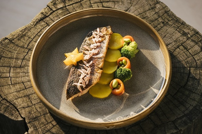 عيشي تجربة مختلفة في فنادق ومنتجعات سيكسنسز